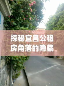 探秘宜昌公租房角落的特色小店，小巷中的隐藏宝藏