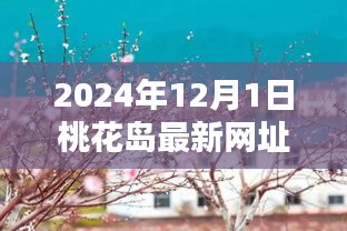 桃花岛，爱的链接与温馨相聚的奇妙日常（最新网址2024年）