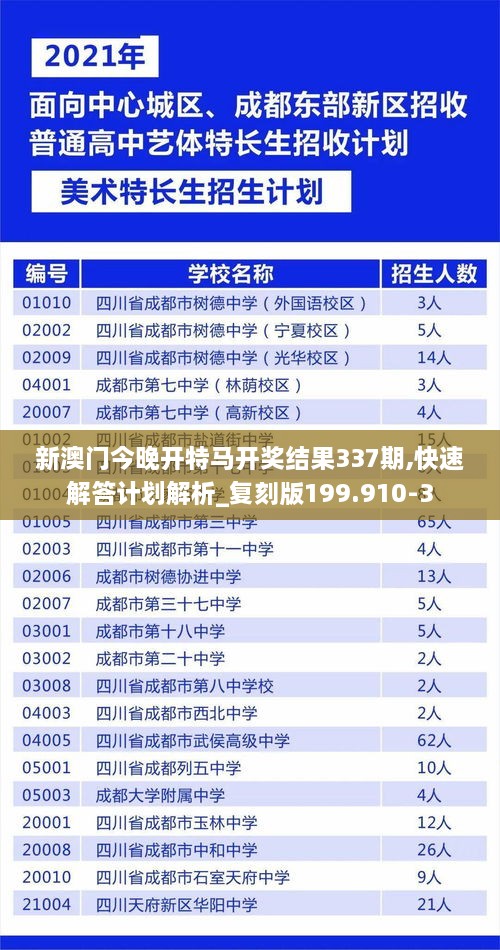 新澳门今晚开特马开奖结果337期,快速解答计划解析_复刻版199.910-3