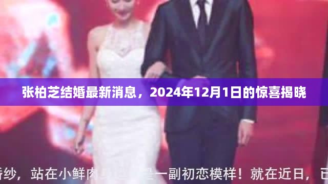 张柏芝结婚最新消息，揭晓2024年12月1日的惊喜婚礼时刻