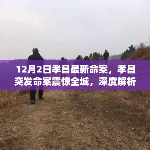 孝昌突发命案揭秘，事件真相与最新进展深度解析