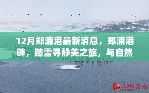 郑浦港畔踏雪之旅，心灵与自然共舞的美妙启程