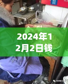 探秘钱清市场棉纱秘境，小巷深处的特色小店与最新棉纱价格揭秘