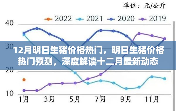 深度解读十二月最新动态，明日生猪价格热门预测及热门分析