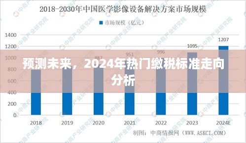 2024年热门缴税标准走向分析与预测，未来趋势探讨