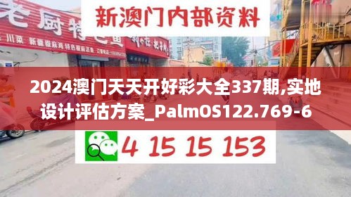 2024澳门天天开好彩大全337期,实地设计评估方案_PalmOS122.769-6