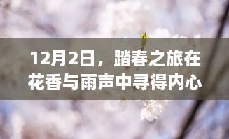 踏春之旅，花香雨声中寻找内心宁静的旅程