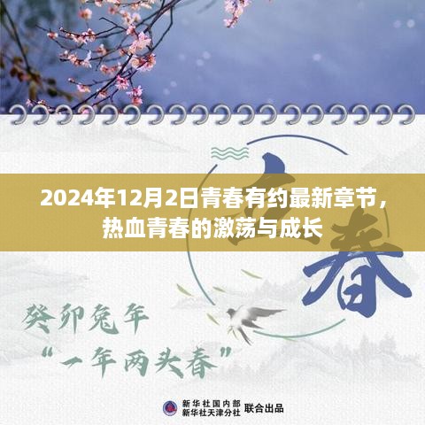 青春有约，热血激荡与成长之路（最新章节 2024年12月2日）