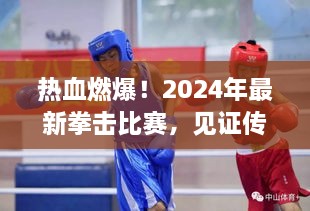 2024热血拳击比赛，传奇诞生的见证时刻！