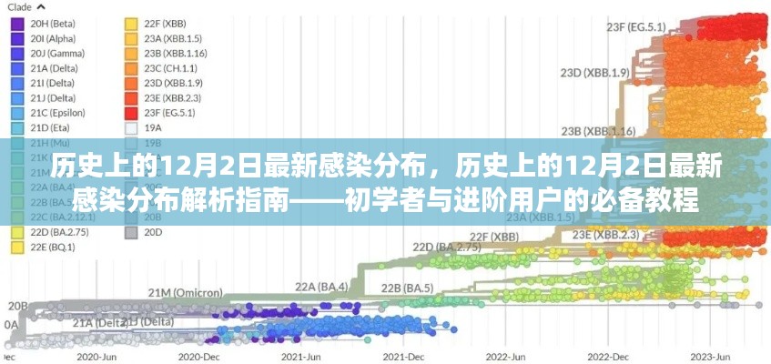 历史上的12月2日最新感染分布解析指南，从初学者到进阶用户的必备教程