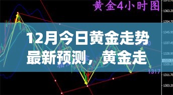 黄金走势下的心灵之旅，探索自然美景与内心平静的最新预测