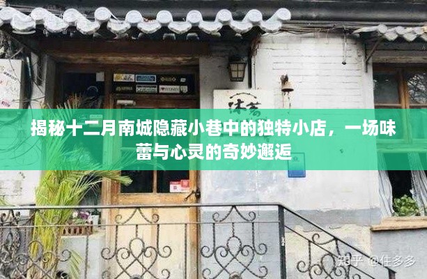 十二月南城小巷独特小店揭秘，味蕾与心灵的邂逅之旅