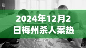 梅州杀人案深度解析，新闻报道追踪与应对突发事件的详尽步骤指南（2024年热门新闻）