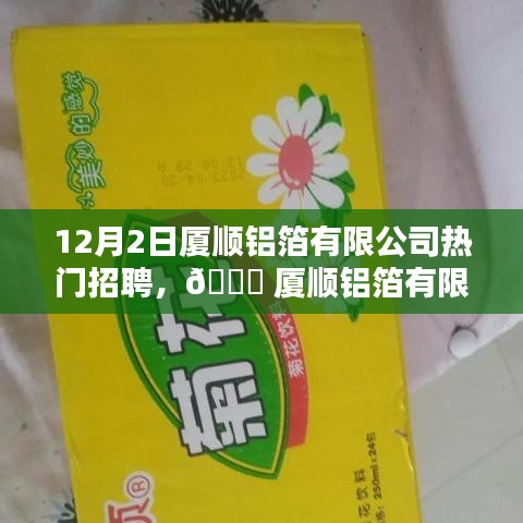 厦顺铝箔有限公司热门职位大招募，启程职业新篇章！