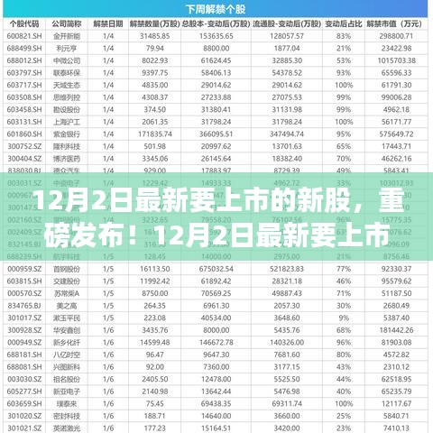 12月2日新股重磅来袭，前瞻投资新风向标