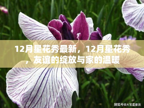 12月星花秀，友谊绽放与家的温暖时刻