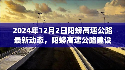 阳蟒高速公路建设进展报告，最新动态及其影响（2024年12月视角）