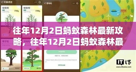 深度解析蚂蚁森林生态价值与个人立场，往年12月2日最新攻略揭秘