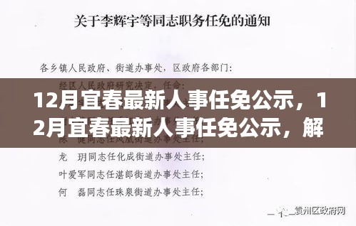 解读人事调整背后的深意与期待，宜春最新人事任免公示