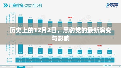 黑豹党最新演变与影响，历史视角下的12月2日探究