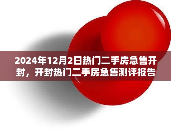 2024年12月3日 第11页