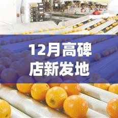 揭秘高碑店新发地科技新纪元，最新高科技产品重塑生活体验的最新动态