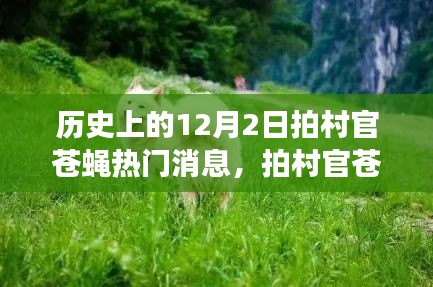 历史上的十二月二日，村官苍蝇背后的暖心故事与热门反腐消息