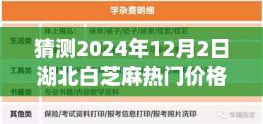 湖北白芝麻热门价格预测解析，展望2024年12月2日的芝麻市场趋势与价格展望