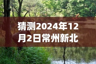 揭秘预测，常州新北未来热门野钓胜地探索之旅（2024年12月2日）