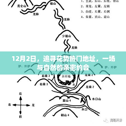 12月2日热门花势地点探访，与自然的浪漫约会