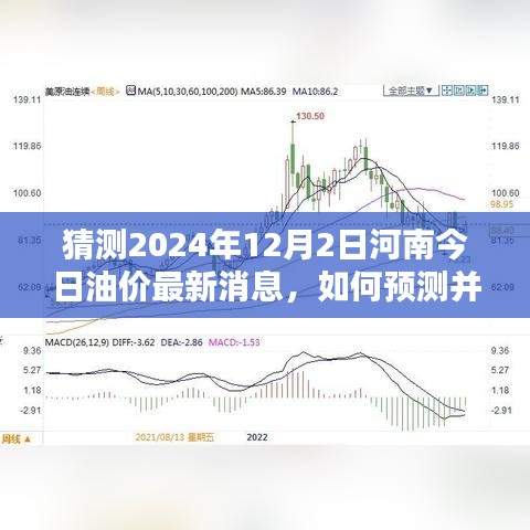 河南油价最新动态，如何预测与获取油价信息详解步骤指南（预测至2024年12月）