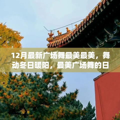 舞动冬日暖阳，最新广场舞的日常故事与最美舞姿