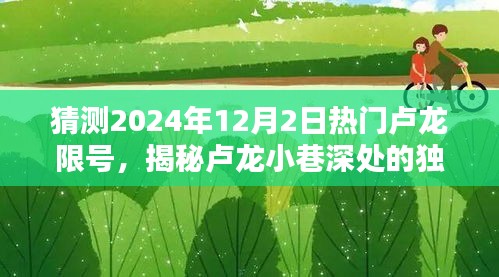 揭秘卢龙小巷独特小店，预测2024年12月2日热门限号潮流趋势