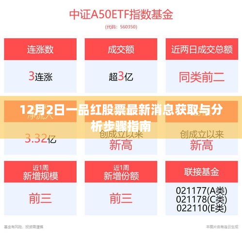 12月2日一品红股票最新消息获取与分析指南