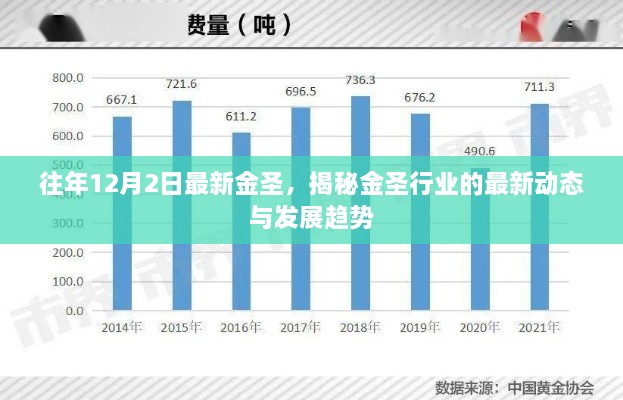 揭秘金圣行业最新动态与发展趋势，历年12月2日金圣新品揭晓