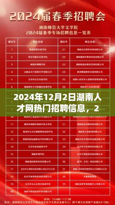 2024年湖南人才网热门招聘信息全景解析