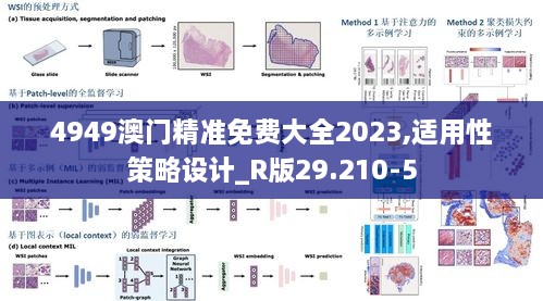 4949澳门精准免费大全2023,适用性策略设计_R版29.210-5