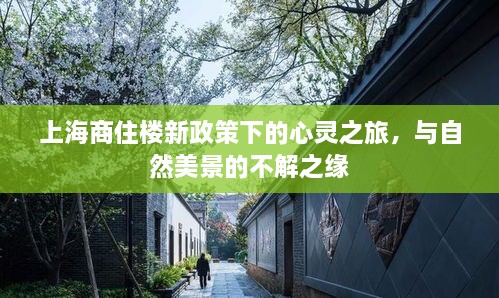 上海商住楼新政下的心灵之旅，与自然美景的深情邂逅