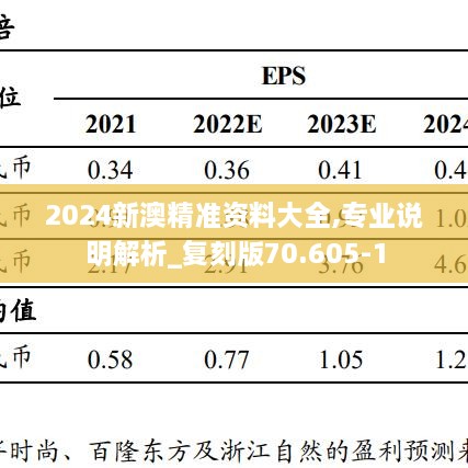 2024新澳精准资料大全,专业说明解析_复刻版70.605-1