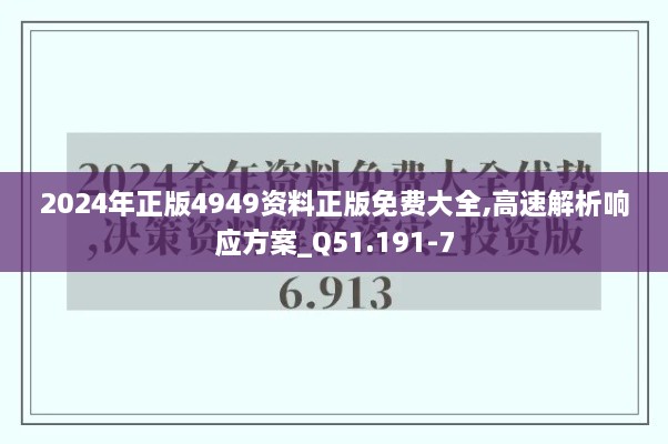 2024年正版4949资料正版免费大全,高速解析响应方案_Q51.191-7