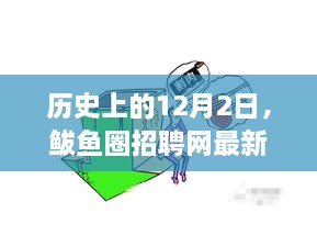 建议，鲅鱼圈招聘网最新招聘现象深度探讨，我的观点与解析——历史上的12月2日观察报告。