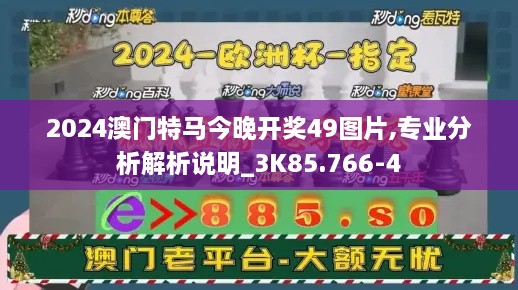 2024澳门特马今晚开奖49图片,专业分析解析说明_3K85.766-4