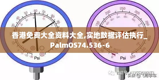 香港免费大全资料大全,实地数据评估执行_PalmOS74.536-6