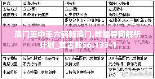 澳门王中王六码新澳门,数据导向解析计划_复古款56.133-1