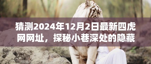 探秘未知四虎网特色小店，揭秘最新隐藏宝藏网址猜测（2024年12月2日）