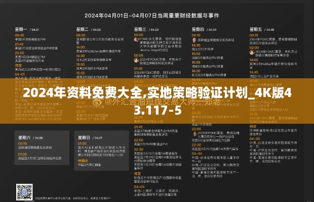 2024年资料免费大全,实地策略验证计划_4K版43.117-5