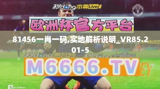 81456一肖一码,实地解析说明_VR85.201-5