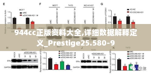 944cc正版资料大全,详细数据解释定义_Prestige25.580-9