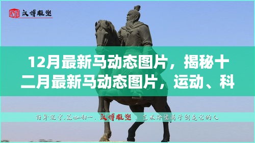 揭秘十二月最新马动态图片，运动、科技与艺术的完美交融瞬间