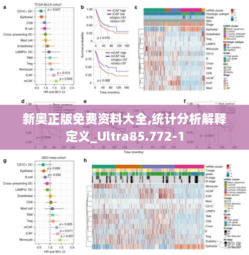 新奥正版免费资料大全,统计分析解释定义_Ultra85.772-1